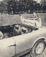 torino-convertible-3.JPG