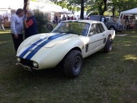 Mustang, que supongo pudo competir en el TC de los '60. Desconozco sus pilotos.