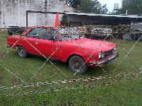 IMG-20140430-00799.jpg