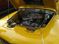 motor torino.jpg