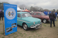 gordini.jpg