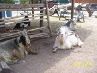 los organizadores esperando hablar con los encargados..