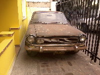 3 Toro Ricardo.jpg